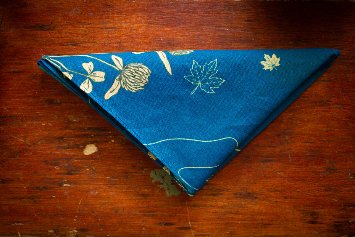 Vermont 100 Bandana